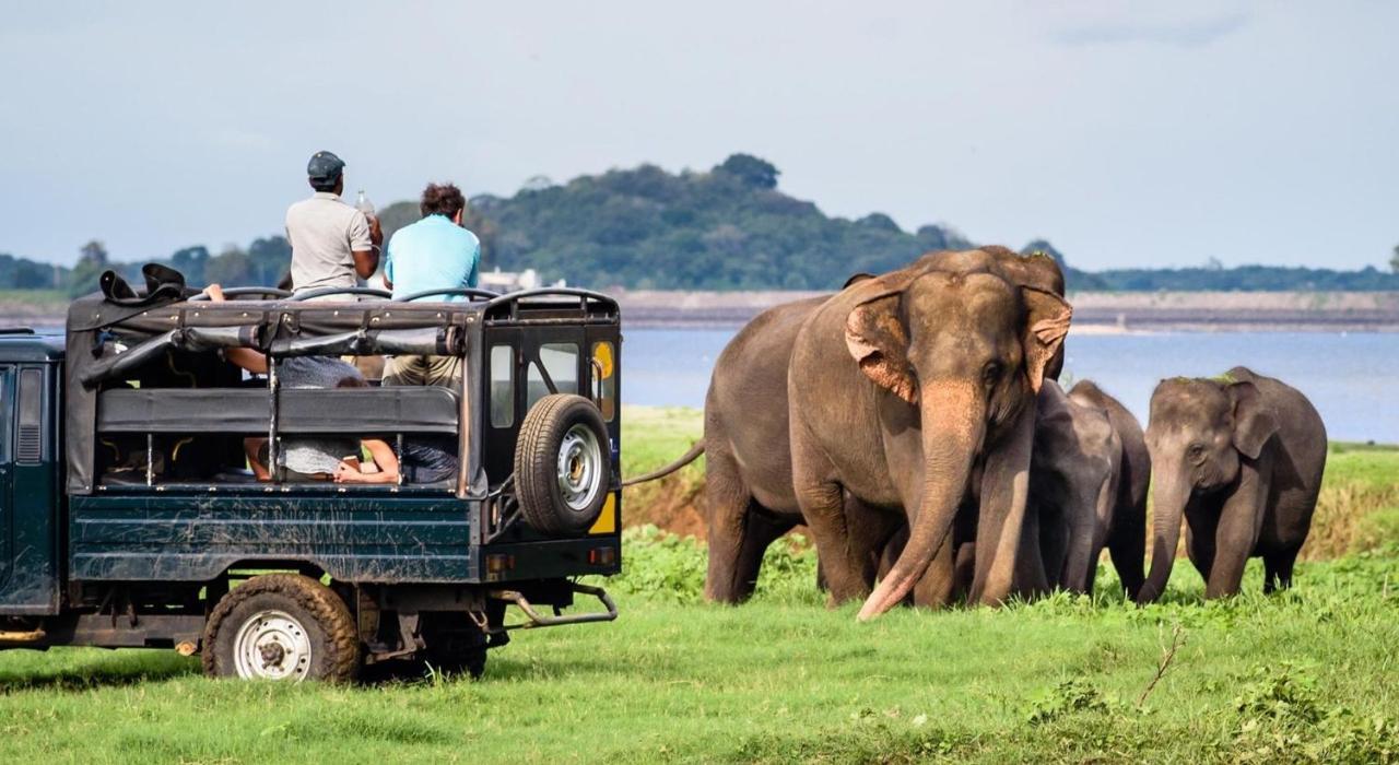 Dinesh Safari Homestay Udawalawe Buitenkant foto