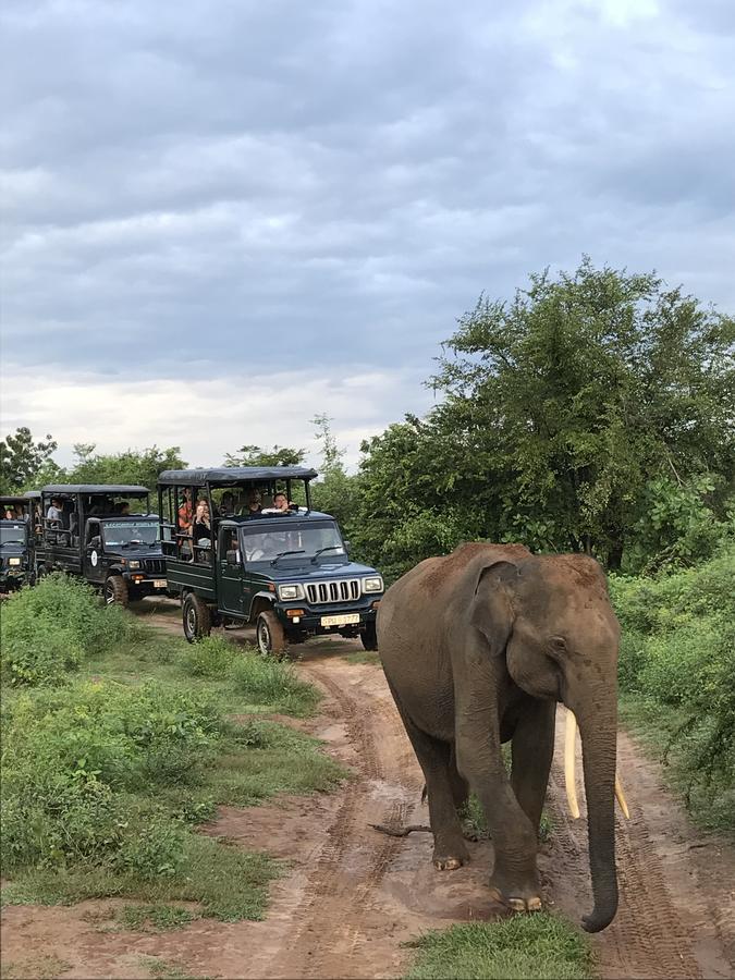 Dinesh Safari Homestay Udawalawe Buitenkant foto